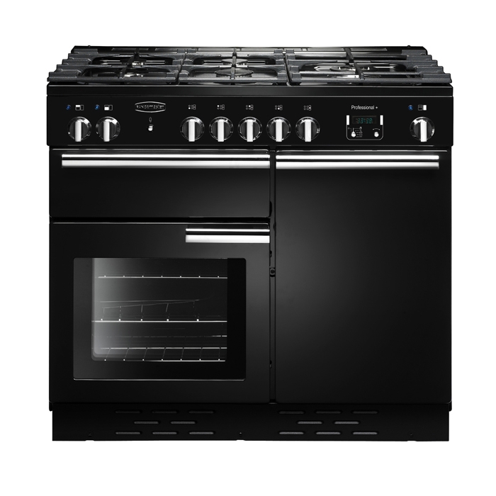 Rangemaster Professional Deluxe 100 Dual Fuel Cooker